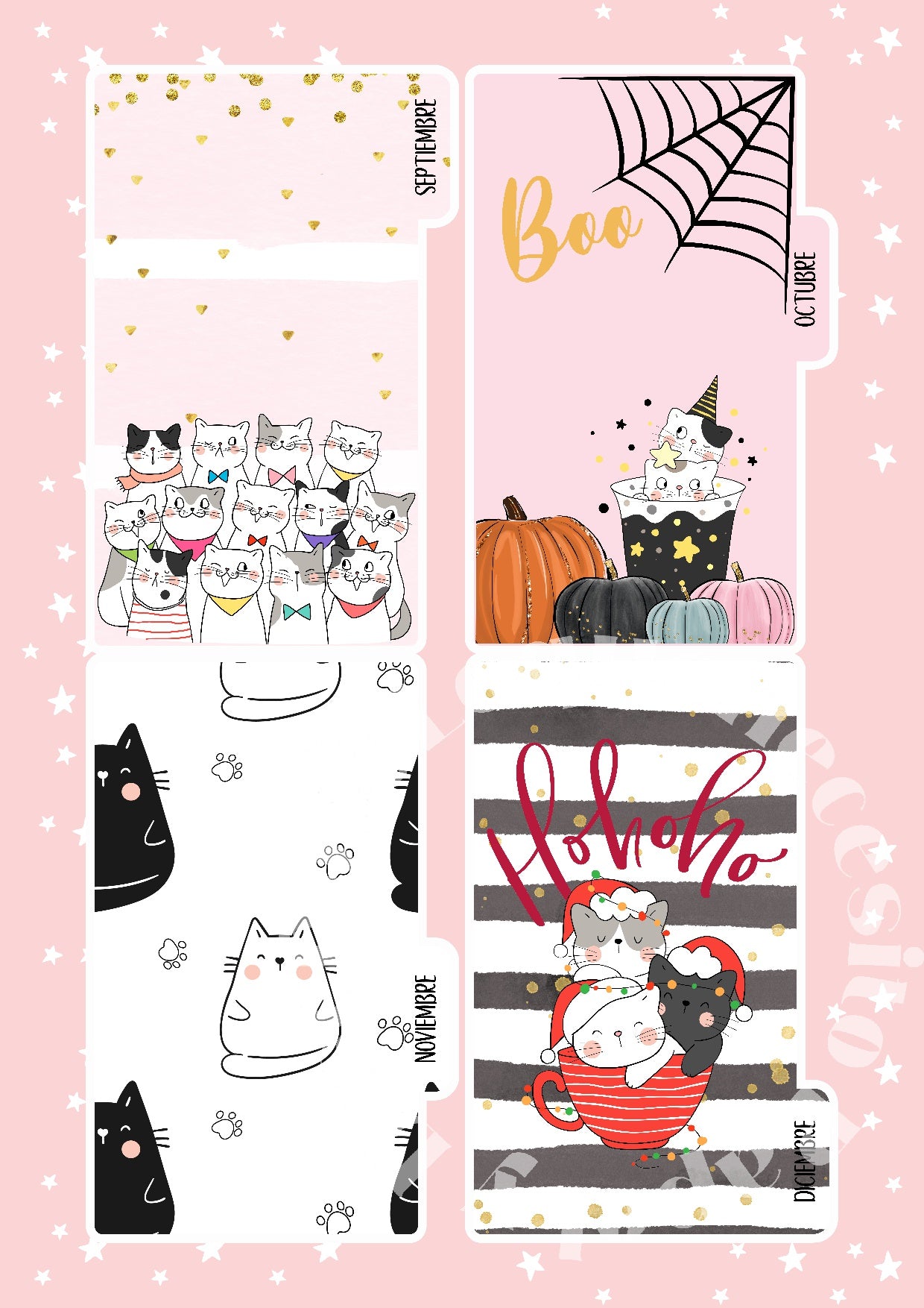 Divisores A6 Gatitos