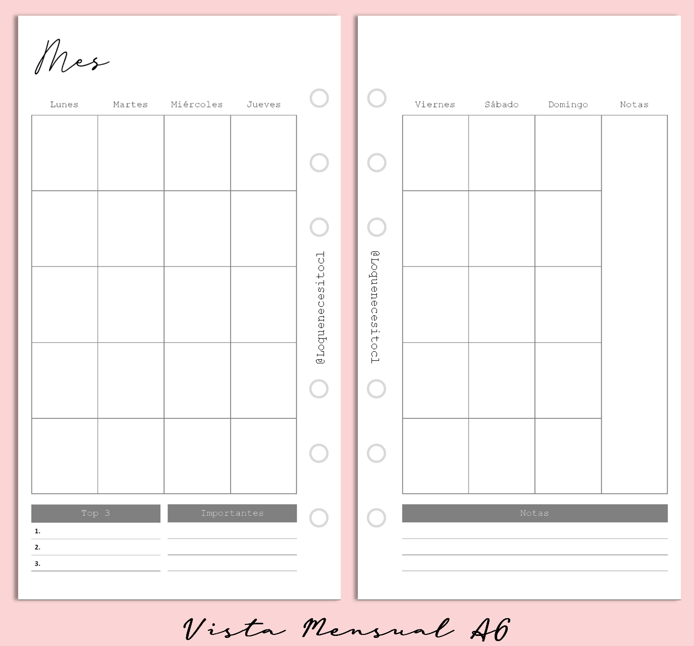 Planner de discos A6 Floral Minimalista