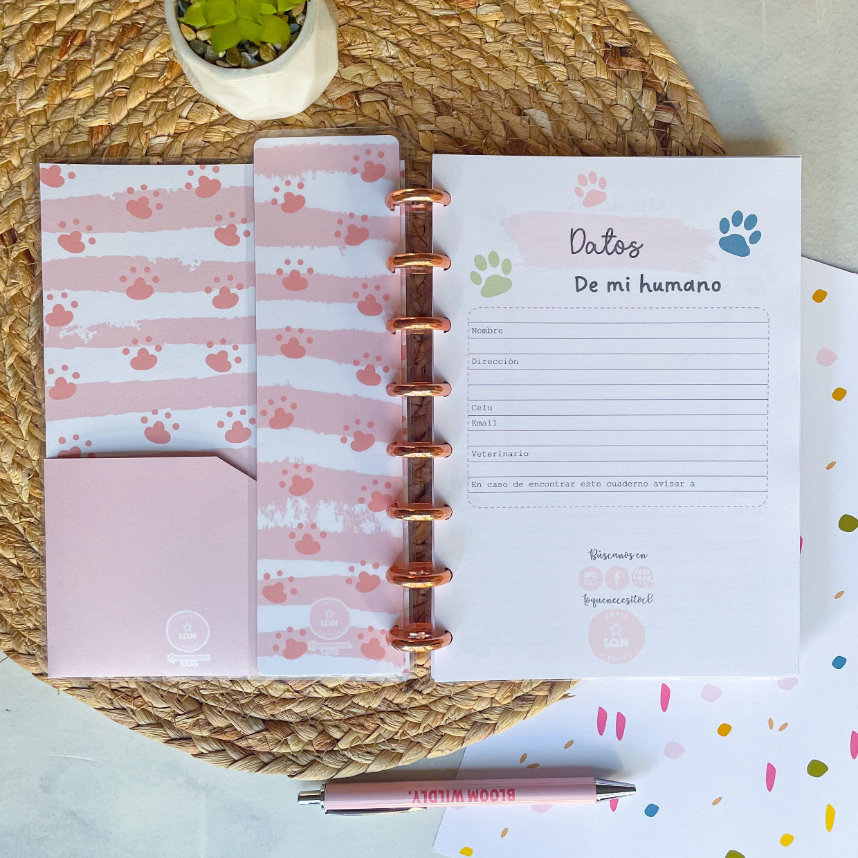 Cuaderno control veterinario rosa