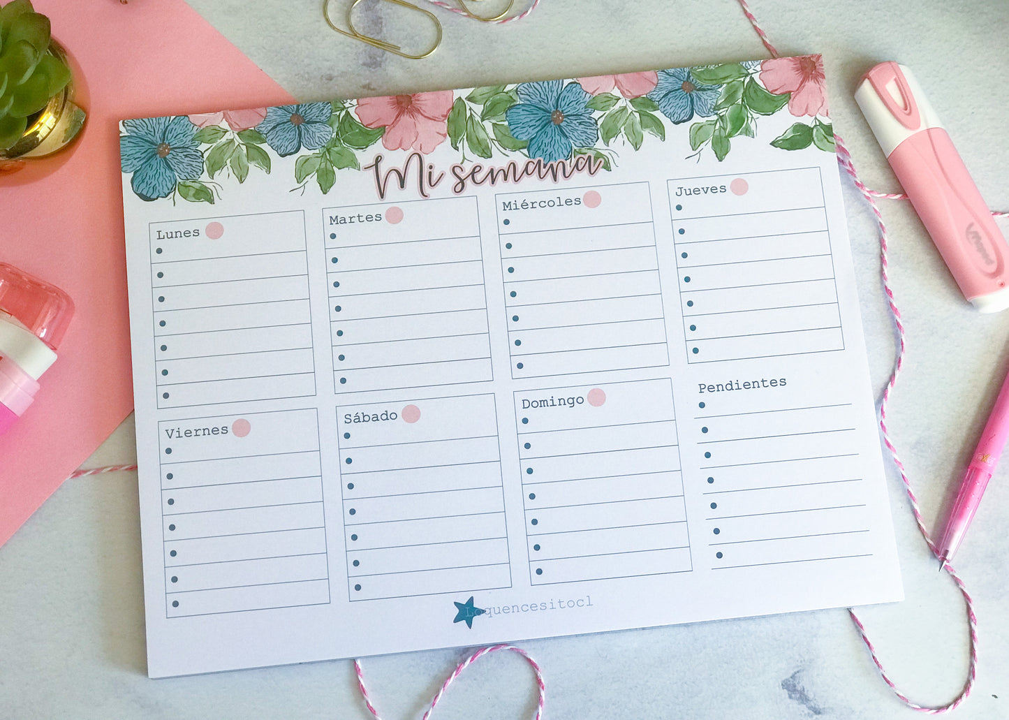 Pack Organizador escritorio Zebra Blue