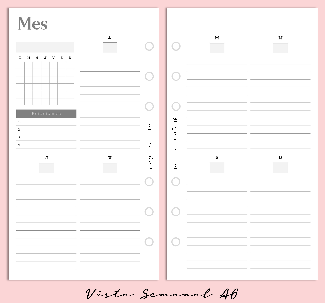 Planner de discos A6 Floral Minimalista
