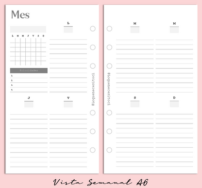 Planner de discos A6 Floral Minimalista