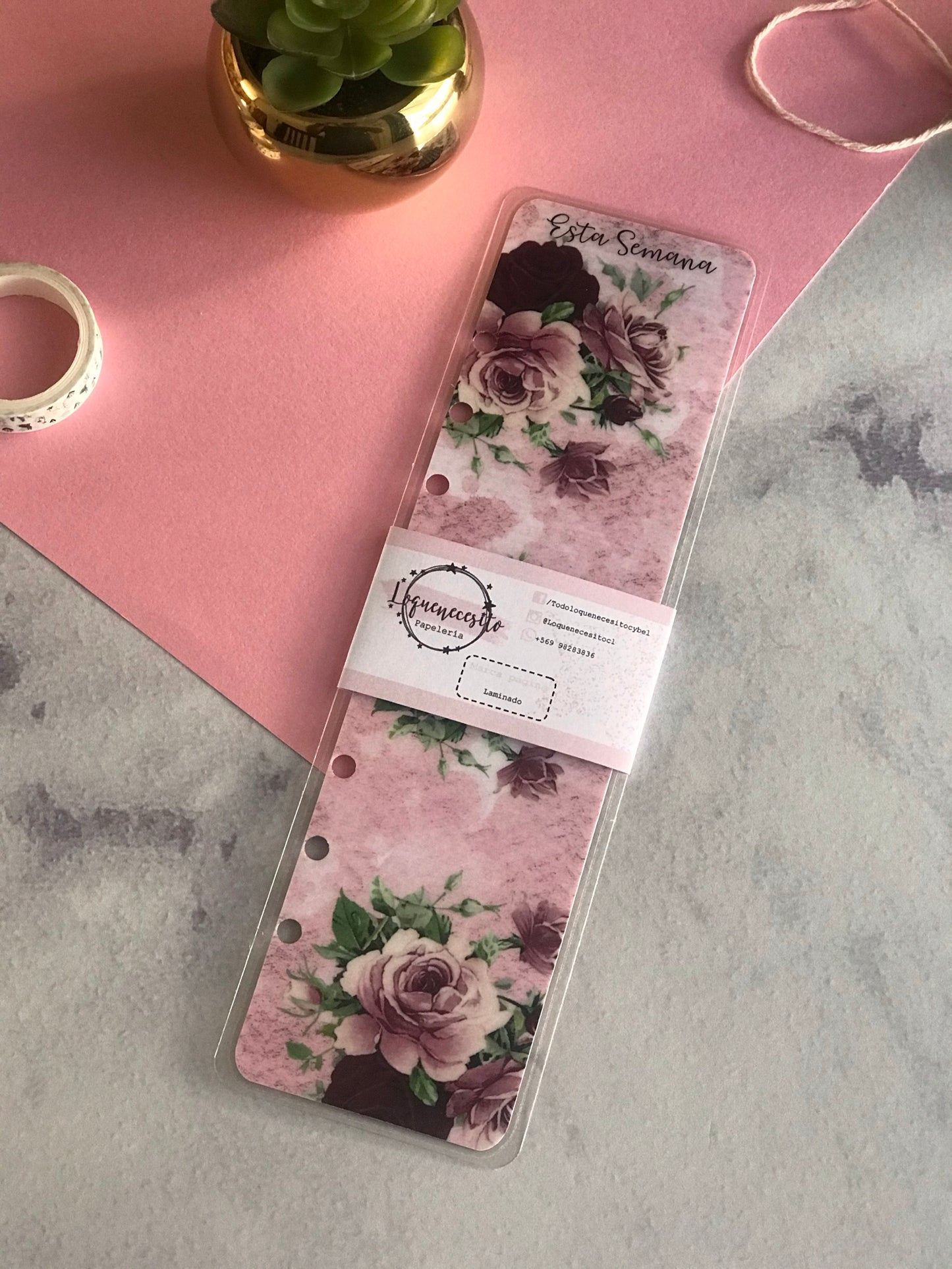 Divisores marcapaginas A5